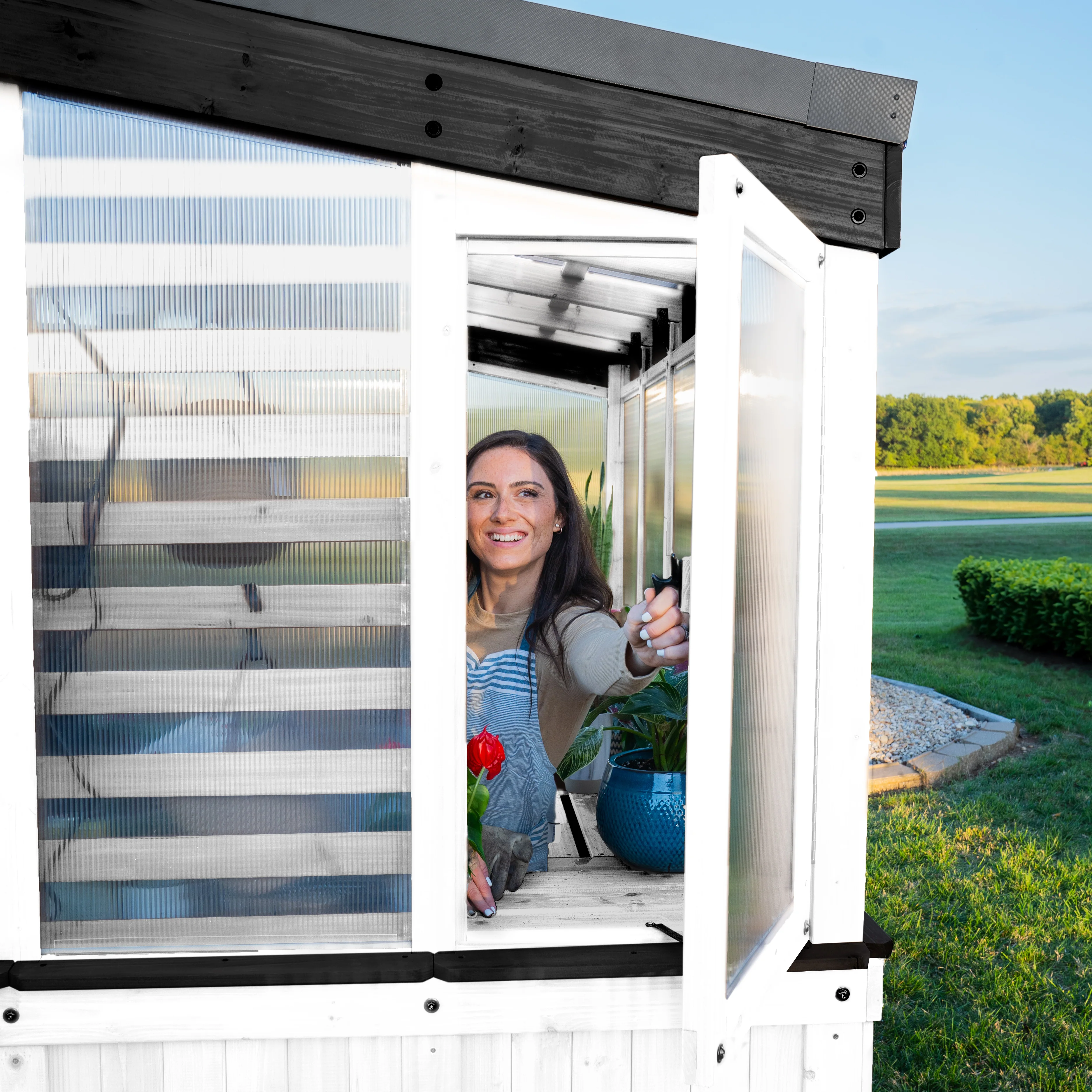 9x6 Willow Greenhouse - Pre-Stained & Sealed White - Image 11