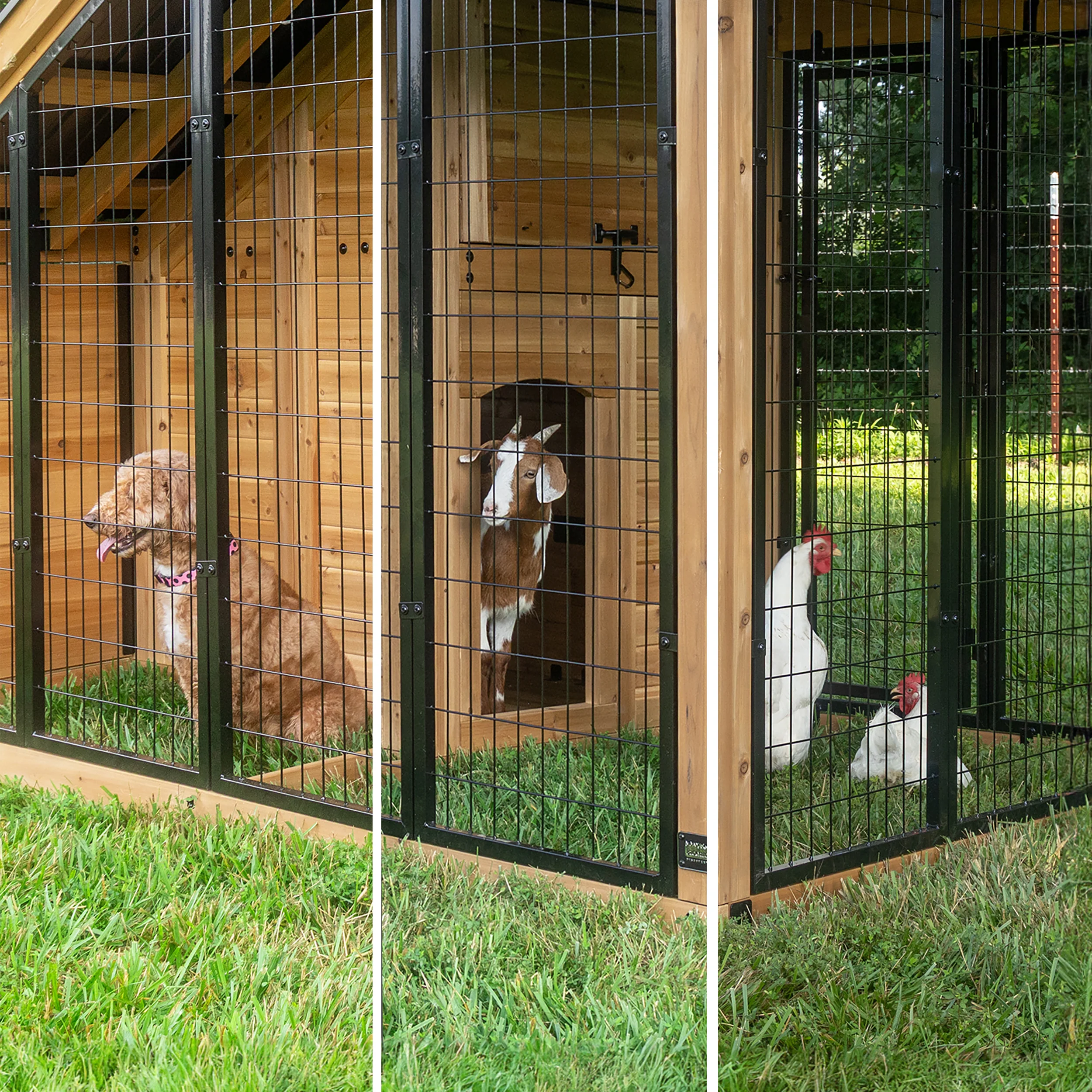 Animal Enclosure - Image 5