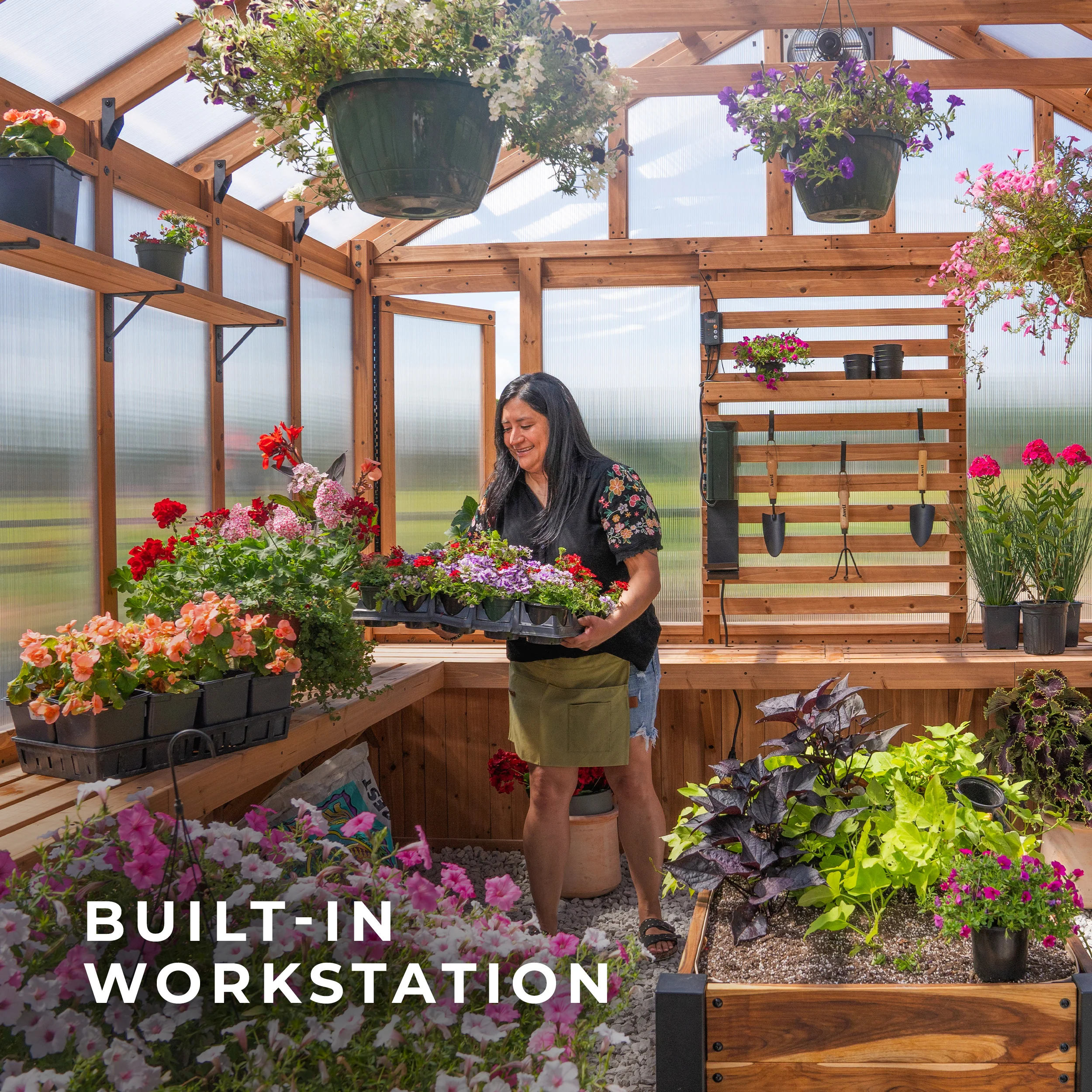 13x11 Bellerose XL Greenhouse - Image 6