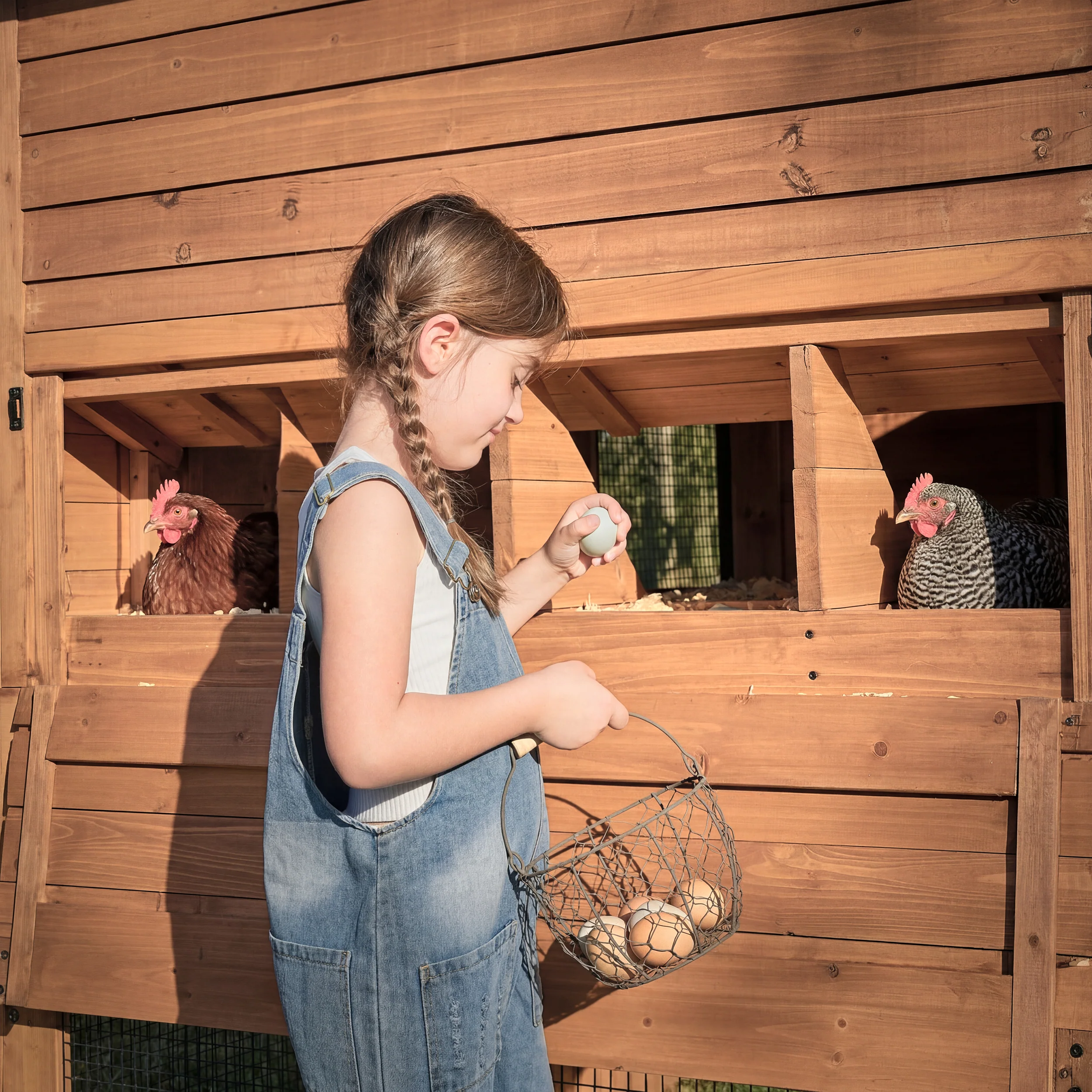 Rustic Roots Chicken Coop - Image 11