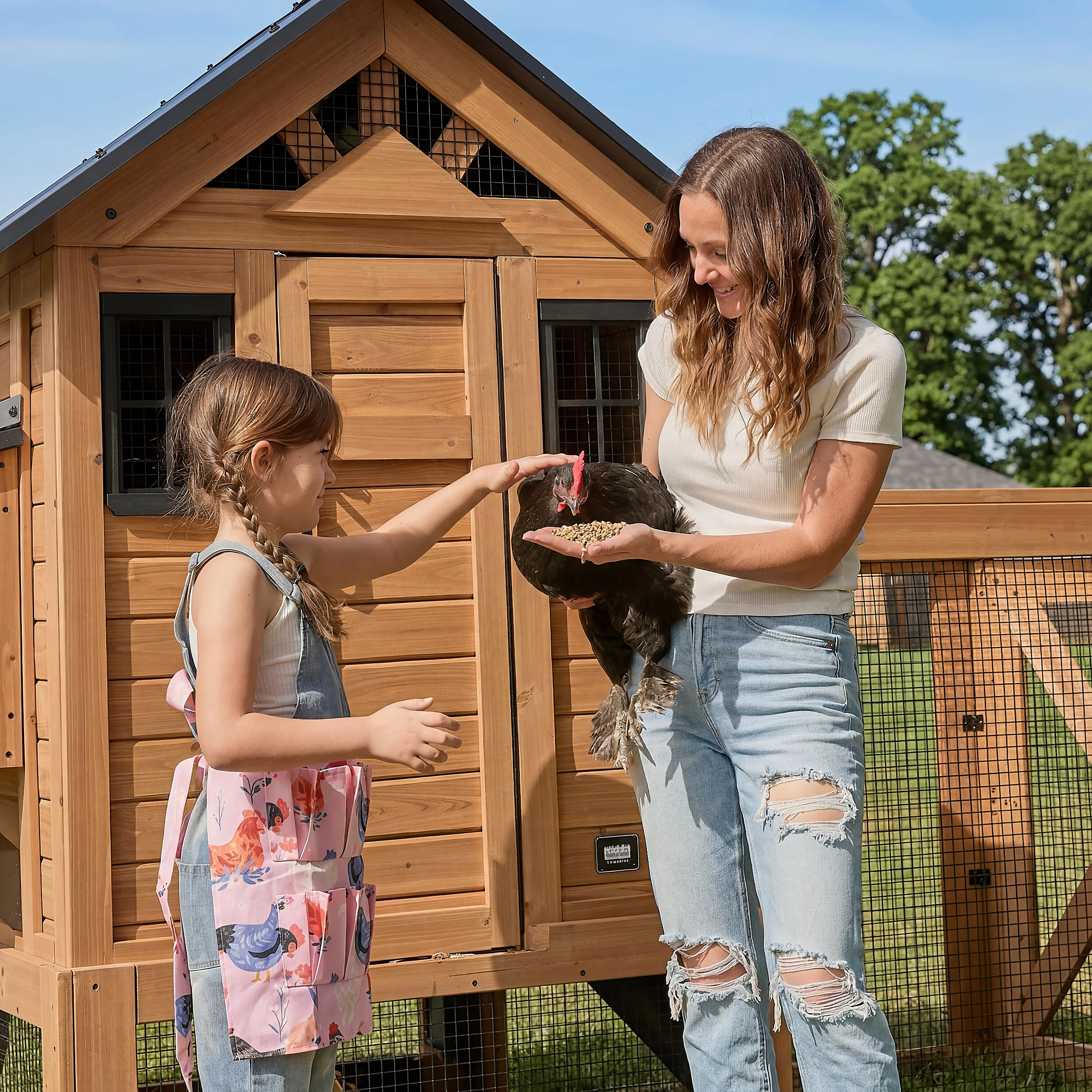 Sweetwater Chicken Coop - Brown - Image 15