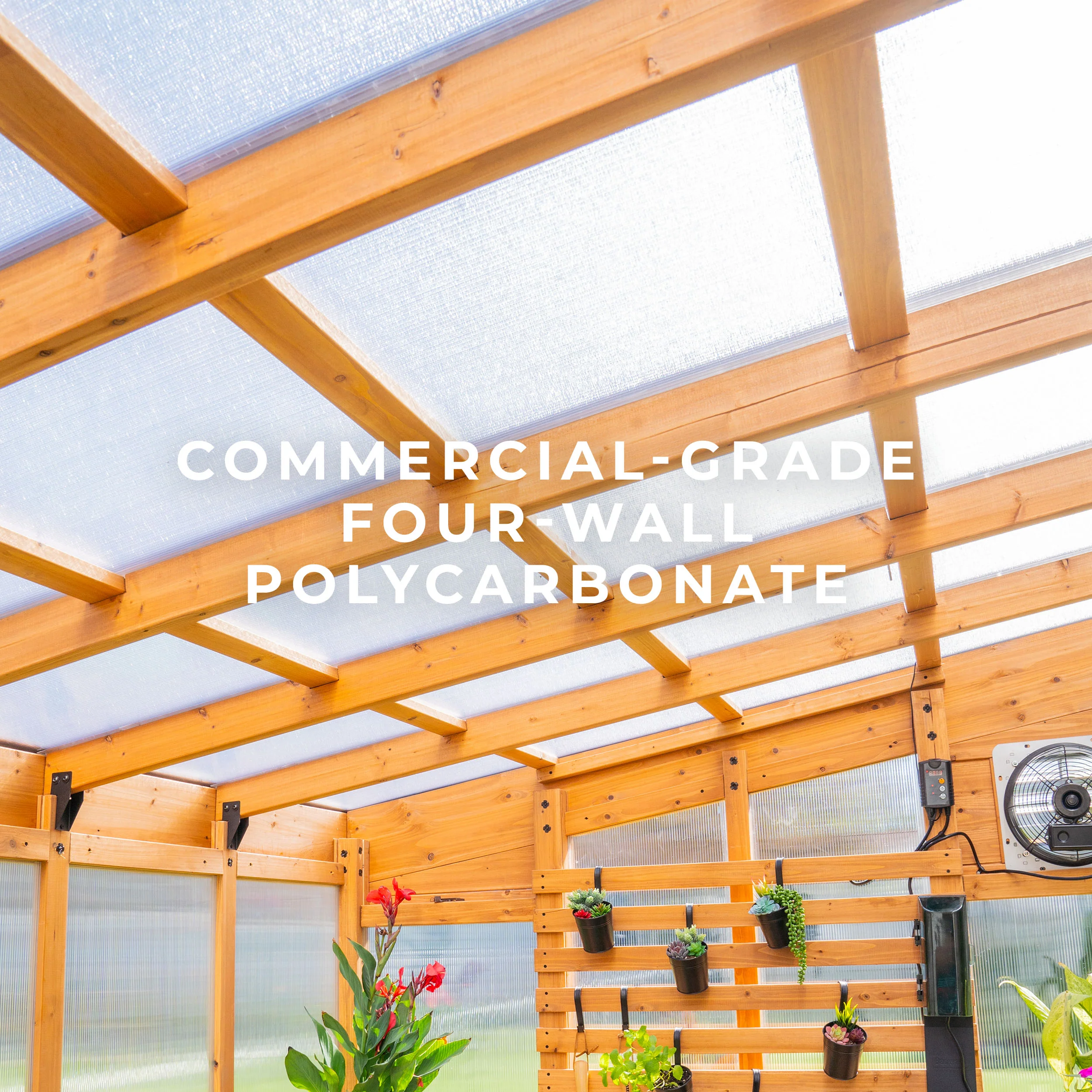 9x6 Willow Greenhouse - Image 4